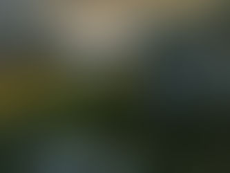 Walking Therapy and Wellbeing Retreats in the UK