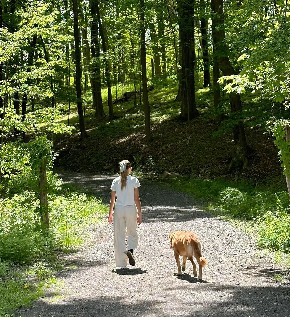 walking therapy retreats for chronic stress
