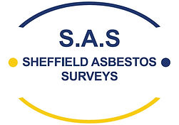 SAS Logo - Vector Artwork (002).jpg