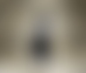 [Critique littéraire] "Le matin en avait décidé autrement" de Salomé Vienne