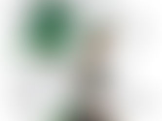 [Critique Littéraire] Le Roi du Lys - Patrick Durville