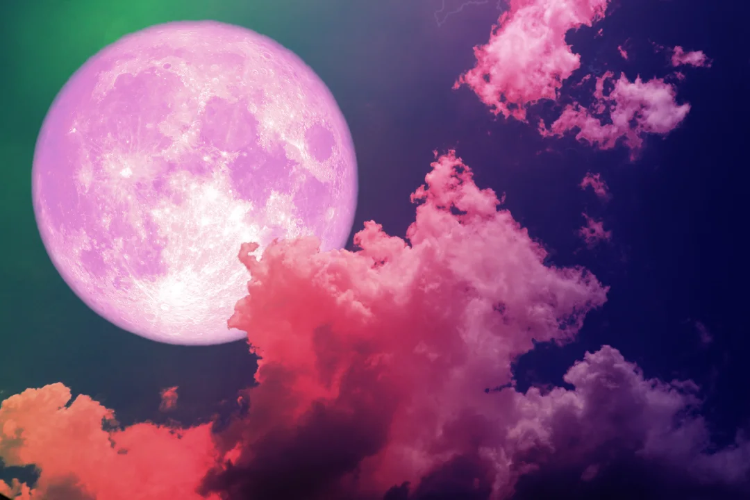 Pink full Moon.webp