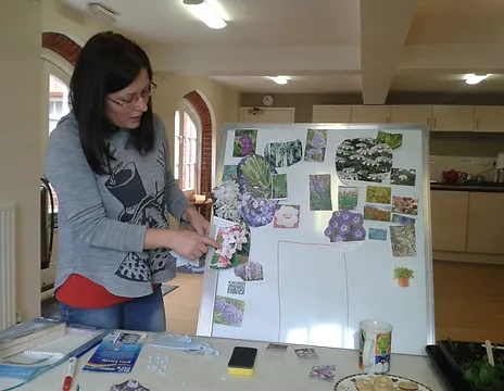 Presentation by Spicesotics, followed by the OSGB AGM