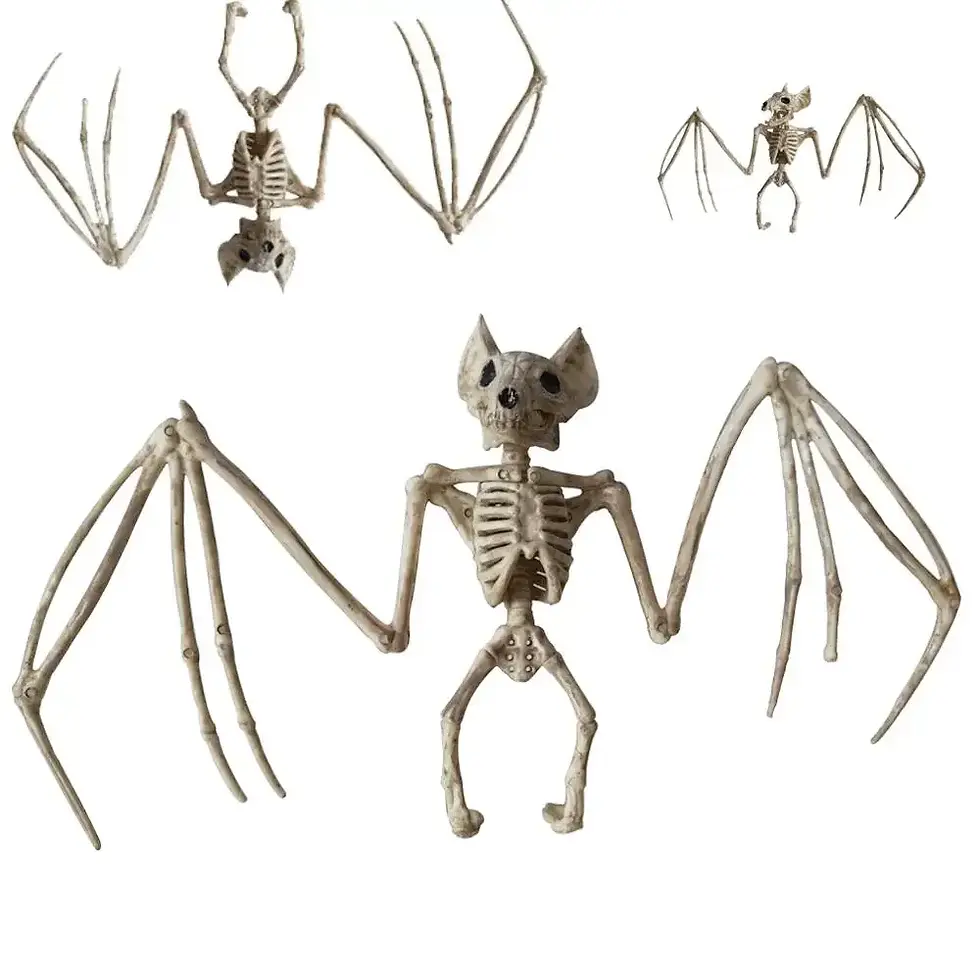Thumbnail: Halloween Decorations-Realistic Skeleton Props with Bats and Scorpions,Plastic A