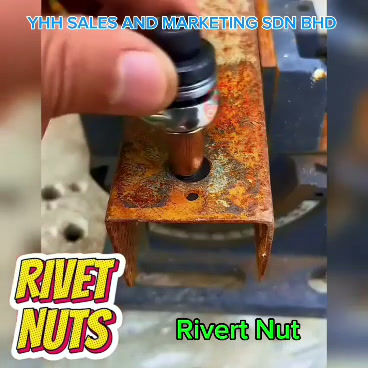 Thumbnail: PEA02 River Nut - #304 Stainless Steel