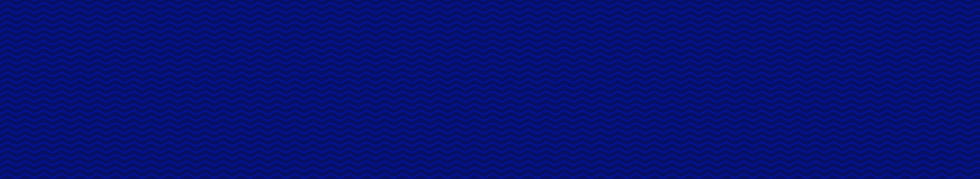 objetive-banner.jpg