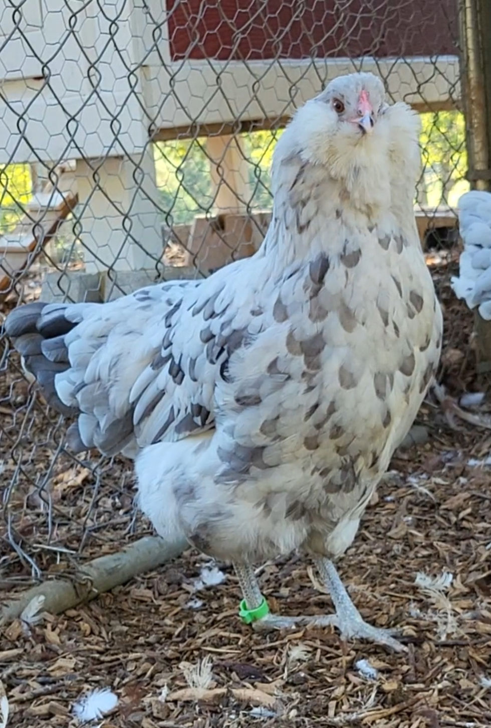 Screenshot_20231018_192827_Video Player