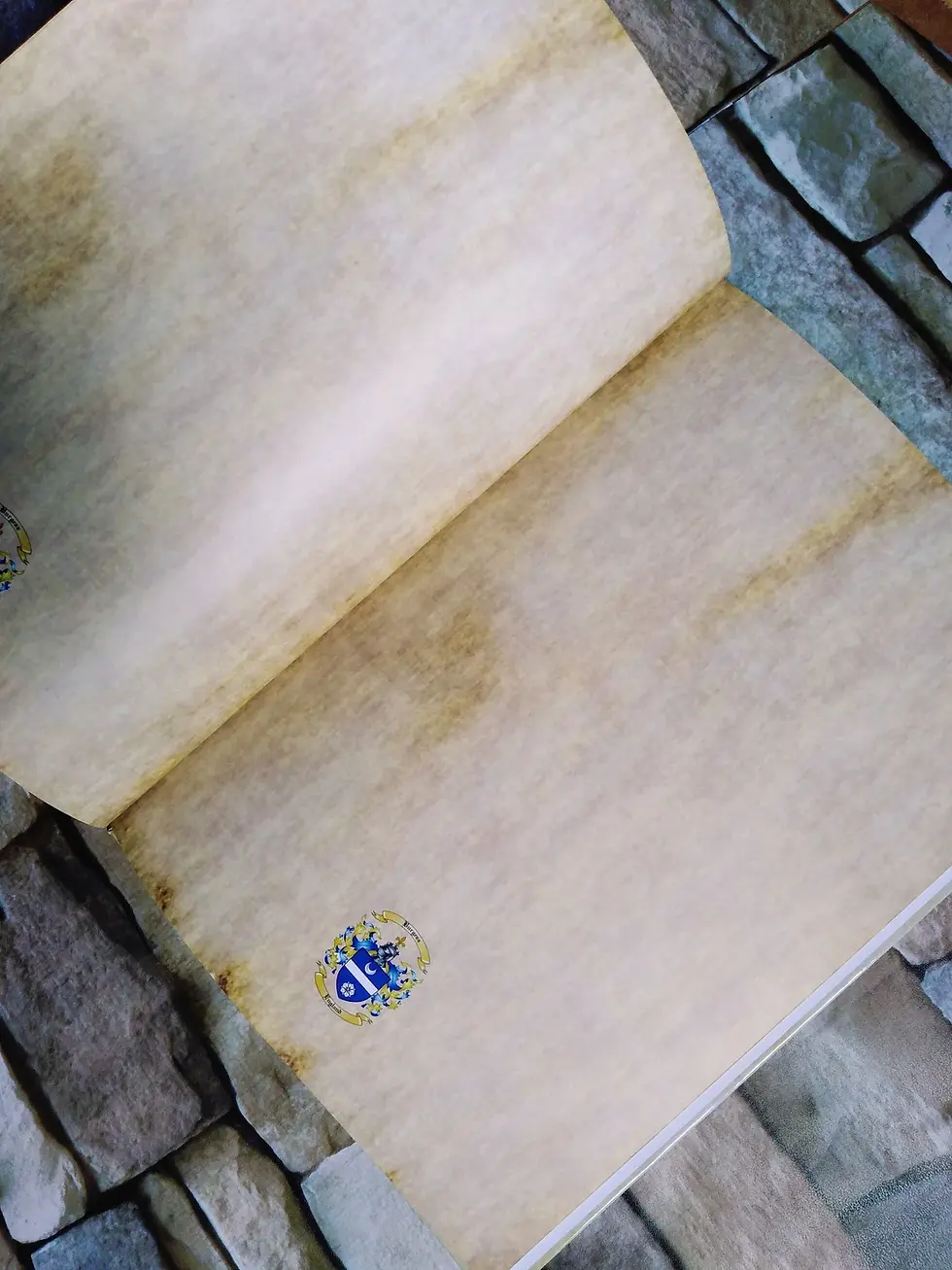 il_1140xN.1959991001_5il7