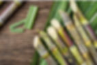 sugar-cane