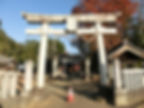 Torii de entrada del santuario Kawagoe Hikawa