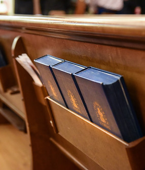 Bibles