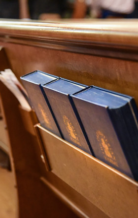 Bibles