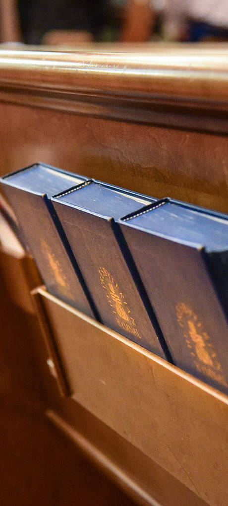 Bibles