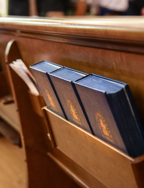 Bibles
