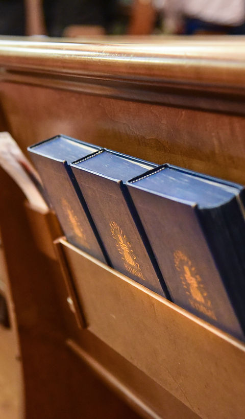 Bibles