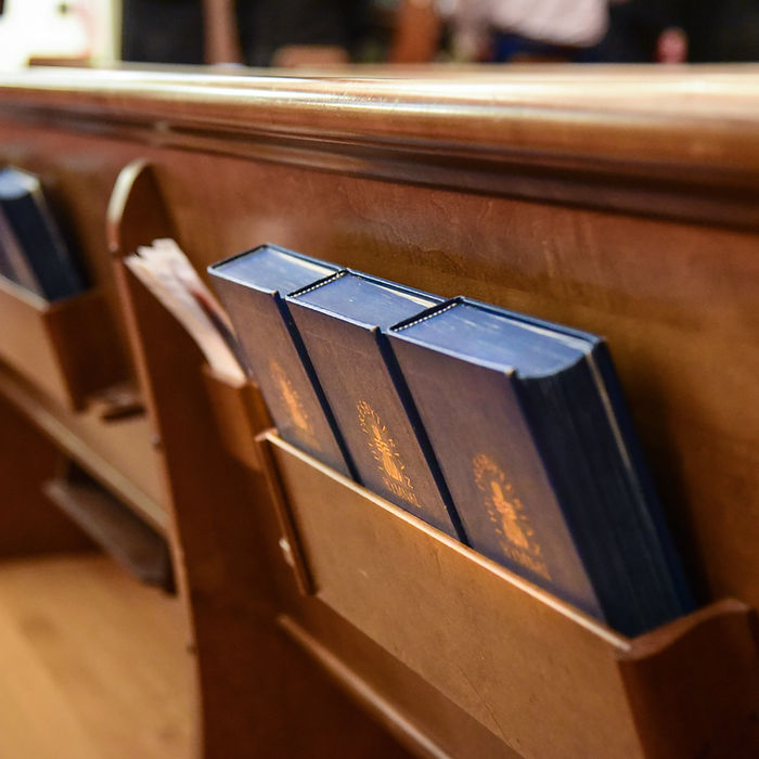 Bibles