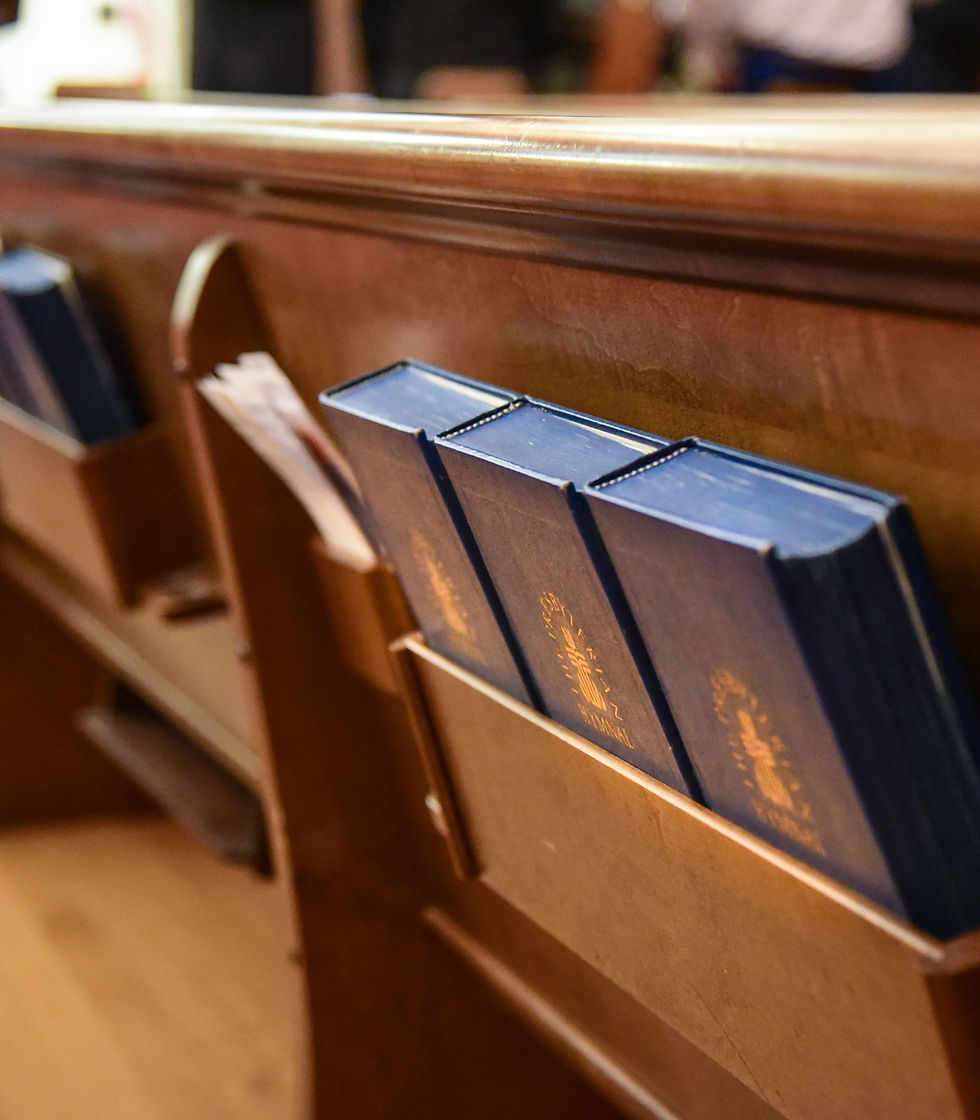 Bibles