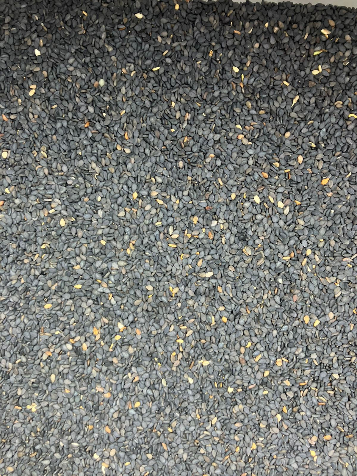 Gergelim Preto (100G)