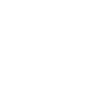 Butterfies_edited_edited.png