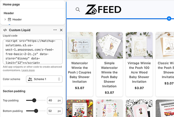 Z-Feed-Shopify-ThemeEditor-CustomLiquid.png