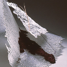Edgerley2FleetingGlimpses008.jpg