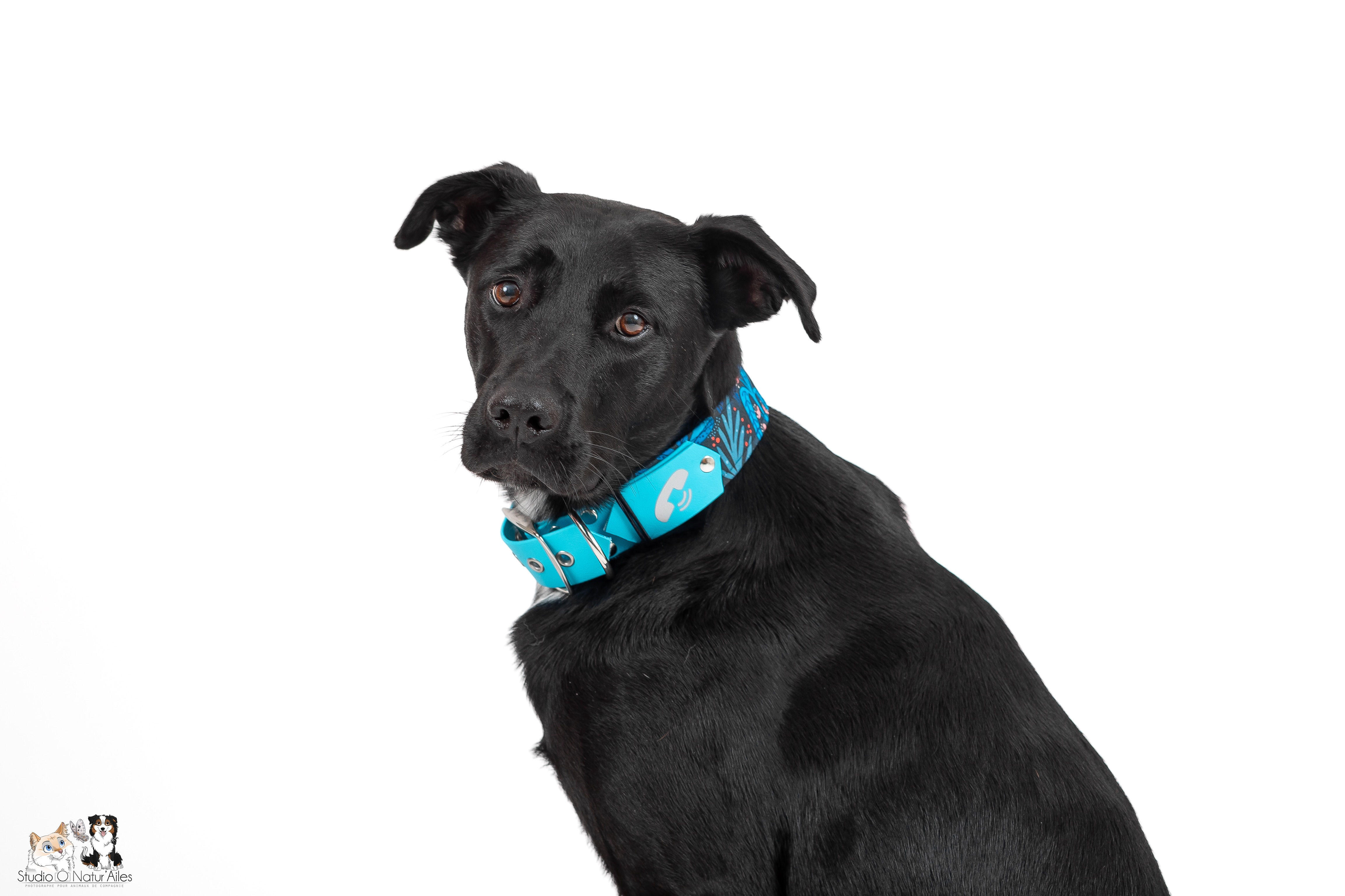 Collier bi matière 38mm inox “blueberry”