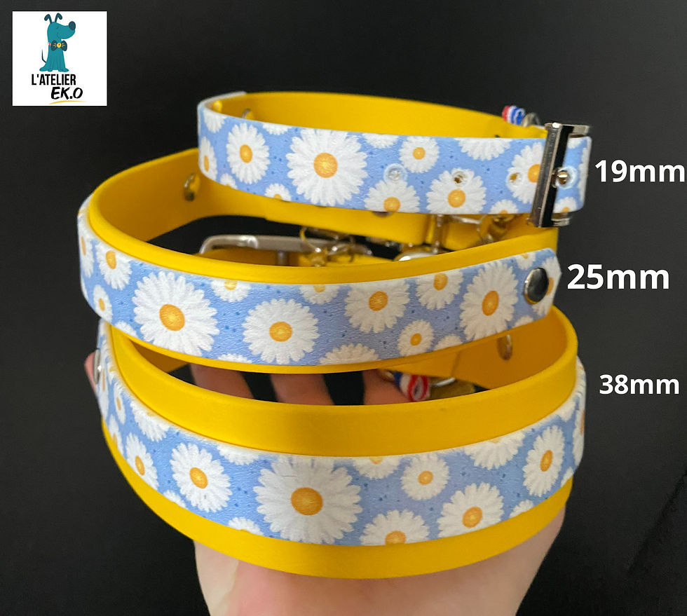 Bien choisir la largeur du collier est très important