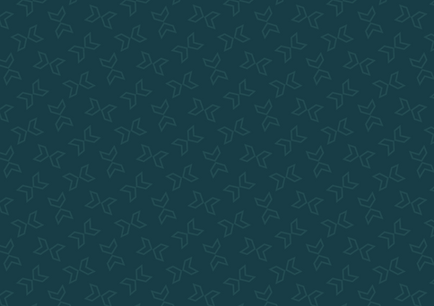 VolleyXperts_background1.png