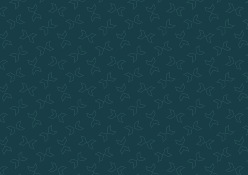 VolleyXperts_background1.png