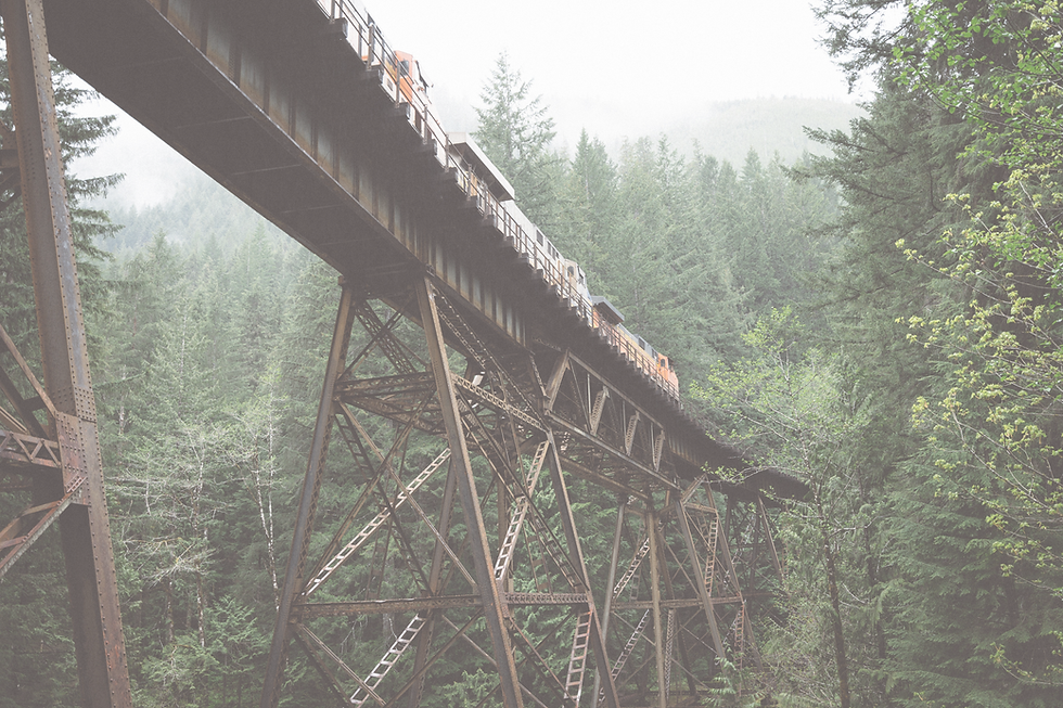 Old train tracks in lush forrest