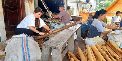 Local activities