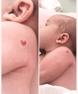 Bibliotheek - 1 van 1 (2)_edited.jpg