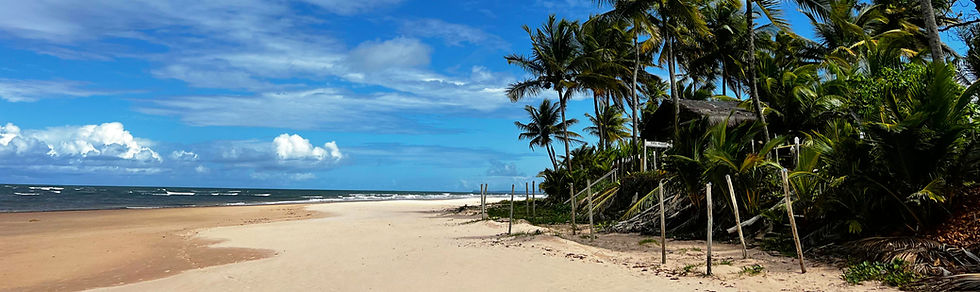 Wooden hut hidden by dark green trees on a pristine white sand beach, on Praia de Algodoes in Barra Grande Bahia