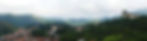 Buildings peek through deep green forest on the mountains of Ouro Preto