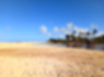 A clear brown freshwater river meets white sand lined with palm trees
