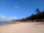 White sand beach with sun umbrellas, lined with palm trees, meets a pink rock cliff in Pipa