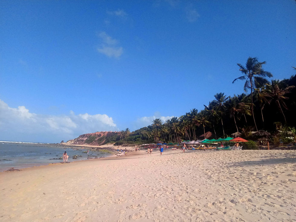 White sand beach with sun umbrellas, lined with palm trees, meets a pink rock cliff in Pipa