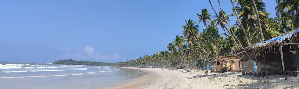 Palm trees line a pristine white sand beach, with a small wooden beach shack, on Praia da Cueira, Boipeba, Bahia
