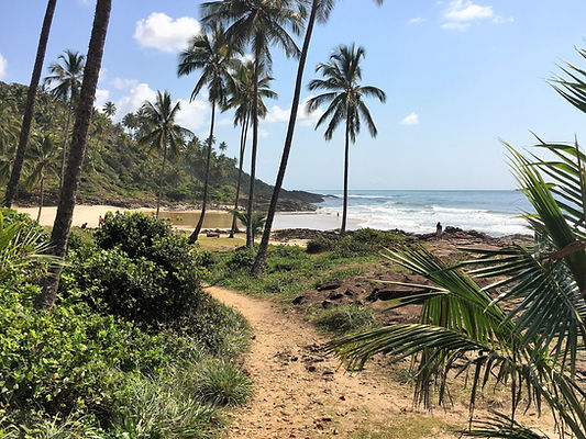 Waterfall flows into a large pool, Itacare