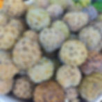 A bowl of greenish brown custard apples