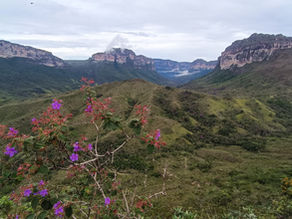 The best hiking destinations in Brazil: Trekking vacations for active travellers