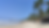 Palm trees line a white sand beach in Boipeba