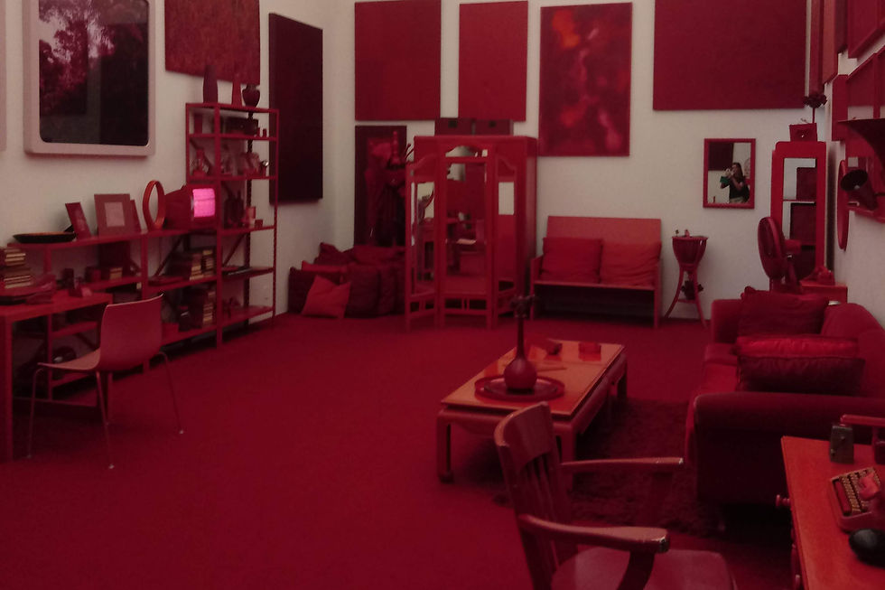 Room at Inhotim with all furniture, decor, and carpet painted red