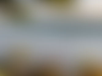 What is the best health and travel insurance for Digital Nomads in Brazil?