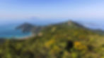 Aerial view of Ilha Grande from the top of Pico do Papagaio, showing various peninsulas and the town of Arabaao