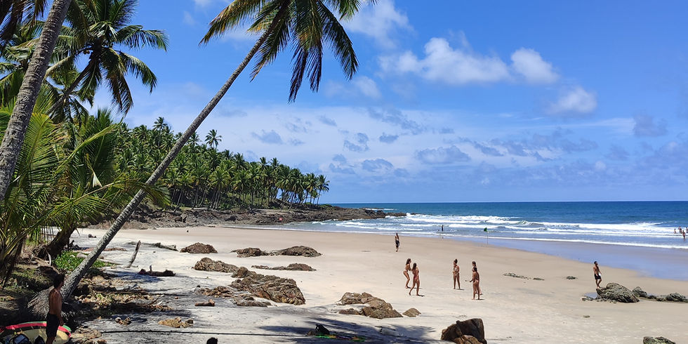 Sandy path through palm trees to the ocean, Itacare