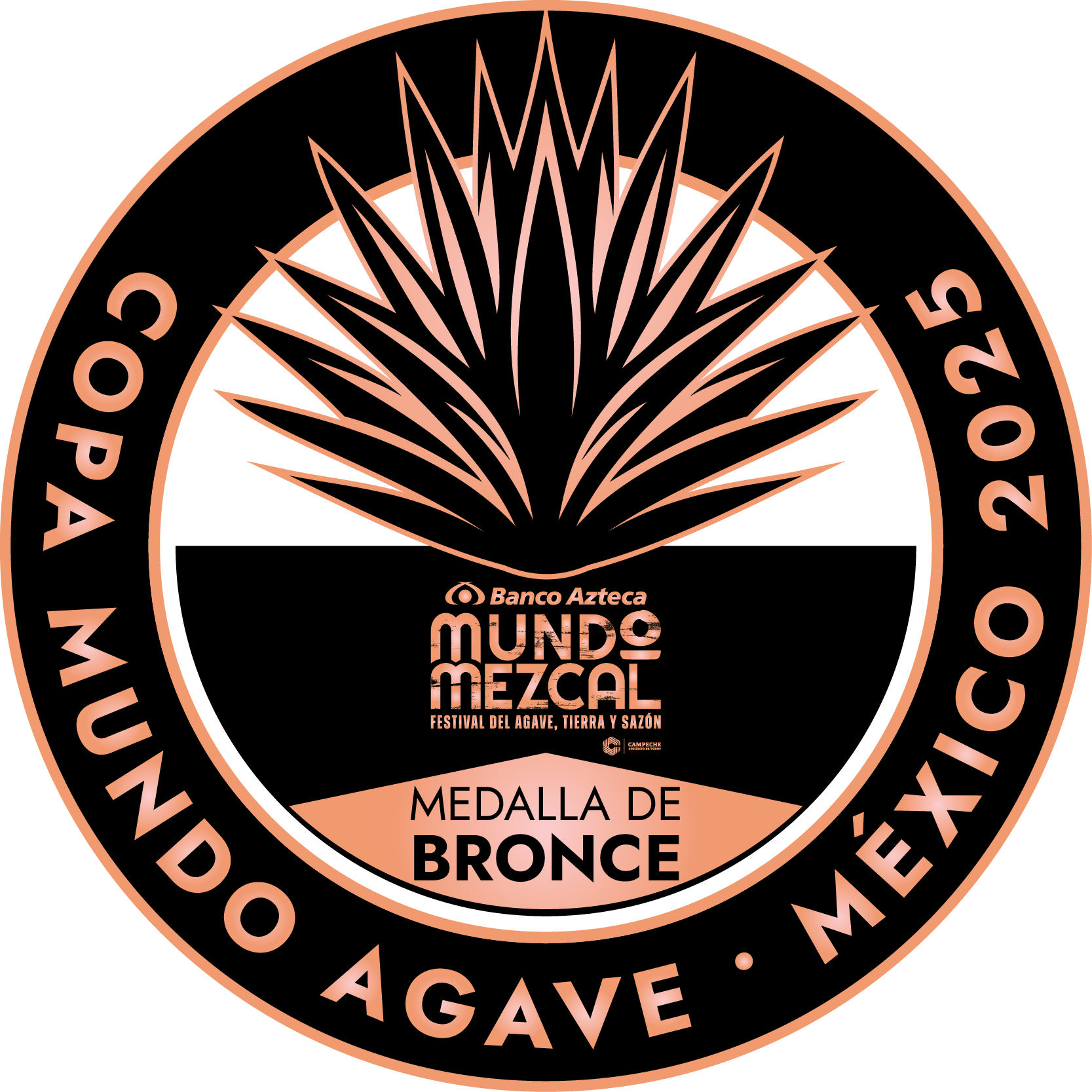 Medalla Bronce_mm_25-01 (1).png