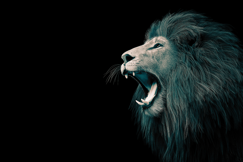 Simba.png
