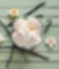 AdobeStock_438475403.jpeg