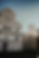 4V0A7098.jpg
